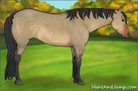 Horse Color:Brown Dun