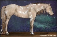 Horse Color:White Spotted Liver Chestnut Ice Pearl Sabino 