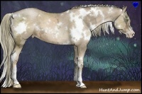 Horse Color:White Spotted Liver Chestnut Ice Pearl Sabino