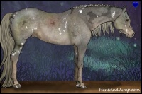 Horse Color:White Spotted Liver Chestnut Ice Sabino 