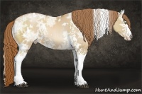 Horse Color:White Spotted Red Dun Ice Pearl 