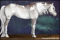 Horse Color:White Spotted Chocolate Silver Blue Onyx Chinchilla