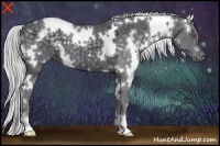 Horse Color:White Spotted Silver Black Chinchilla Ice 