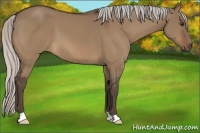 Horse Color:Silver Brown Dun