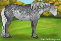 Horse Color:Silver Black Chinchilla Sabino
