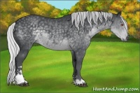 Horse Color:Silver Black Chinchilla Sabino