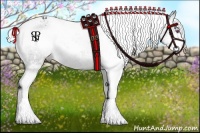 Horse Color:Silver Black Chinchilla Sabino Appaloosa