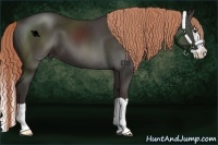 Horse Color:Liver Chestnut Splash 