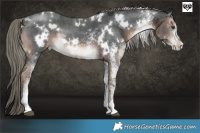 Horse Color:White Spotted Liver Chestnut Mushroom