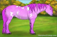 Horse Color:Watercolor White Spotted Liver Red Dun Rabicano