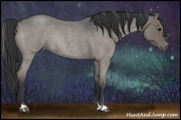 Horse Color:Grullo Roan Rabicano 