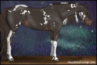 Horse Color:White Spotted Liver Chestnut Tobiano 