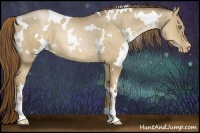 Horse Color:White Spotted Liver Red Dun Pearl Rabicano