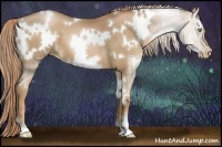 Horse Color:White Spotted Liver Chestnut Pearl 