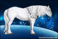 Horse Color:Gray Silver Bay