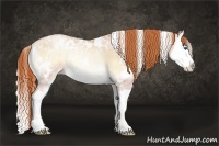 Horse Color:White Spotted Sable Champagne Ice Pearl Onyx Sabino Splash Rabicano