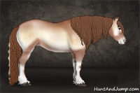 Horse Color:Brown Pearl Onyx Sabino Rabicano 