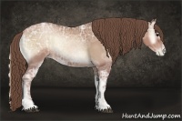 Horse Color:Blue Onyx Ice Pearl Sabino Rabicano