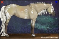 Horse Color:White Spotted Liver Red Dun 