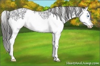 Horse Color:Blue Roan Splash Snowflake Varnish