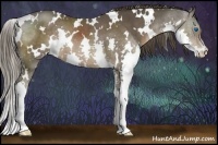 Horse Color:White Spotted Liver Chestnut Splash 
