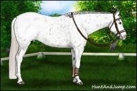 Horse Color:Chocolate Palomino Roan Snowcap 