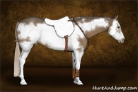 Horse Color:Chocolate Palomino Splash Frame 