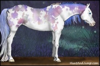 Horse Color:Nacre Watercolor White Spotted Bay Onyx Splash Rabicano 
