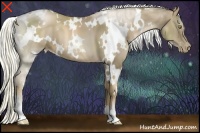 Horse Color:White Spotted Liver Chestnut Pearl