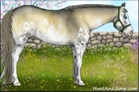 Horse Color:White Spotted Liver Red Onyx Splash