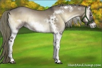 Horse Color:White Spotted Liver Red Dun Onyx Frame Brindle 
