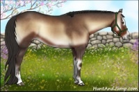 Horse Color:Liver Red Onyx Sabino
