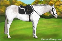Horse Color:White Spotted Liver Chestnut Varnish 