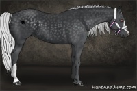Horse Color:Silver Black Chinchilla