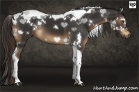 Horse Color:White Spotted Liver Chestnut Tobiano 