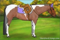 Horse Color:Bay Roan Tobiano 