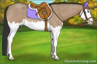 Horse Color:Bay Roan Dun Splash 