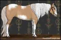 Horse Color:Silver Bay Dun Sabino Tobiano Frame Rabicano 