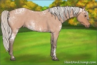 Horse Color:Silver Bay Ice Roan 