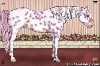 Horse Color:Watercolor Chestnut Sabino Frame Appaloosa 