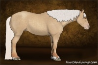 Horse Color:Silver Classic Champagne Roan 