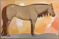 Horse Color:Red Dun 