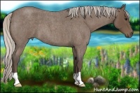 Horse Color:Silver Blue Roan 