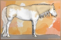 Horse Color:Silver Classic Champagne Dun Splash Frame 