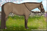 Horse Color:Liver Red Dun Brindle 