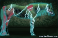 Horse Color:ERROR: UNKNOWN ANOMALY and ERROR: UNKNOWN ANOMALY