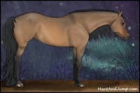Horse Color:Bay Dun