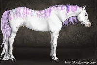 Horse Color:Watercolor Silver Bay Ice Splash Rabicano