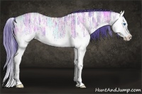 Horse Color:Watercolor Grullo Ice Splash