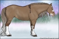 Horse Color:Liver Red Dun Sabino Splash Rabicano